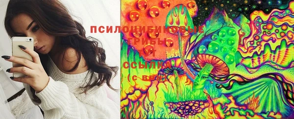 МДПВ Аркадак