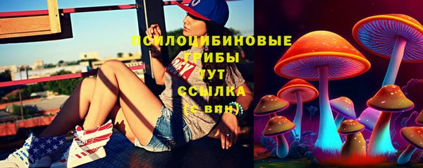 2c-b Армянск