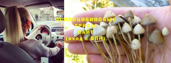 МДПВ Аркадак