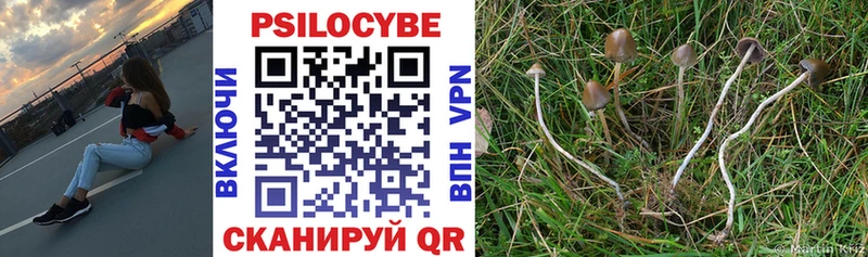 Псилоцибиновые грибы Psilocybine cubensis  купить   Узловая 
